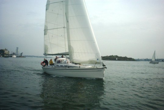 103431_araog_02